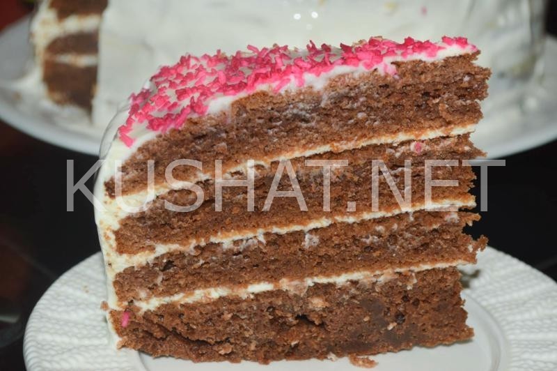 20_шоколадный торт на кефире Ноченька