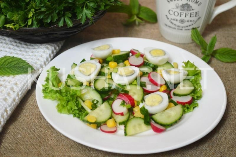 10_салат из редиса с огурцом и яйцами