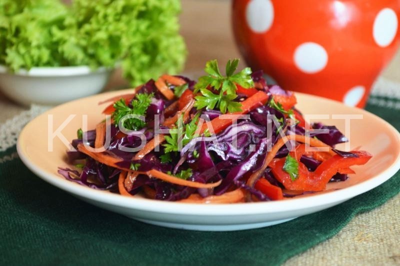 12_салат из краснокочанной капусты с морковью и перцем