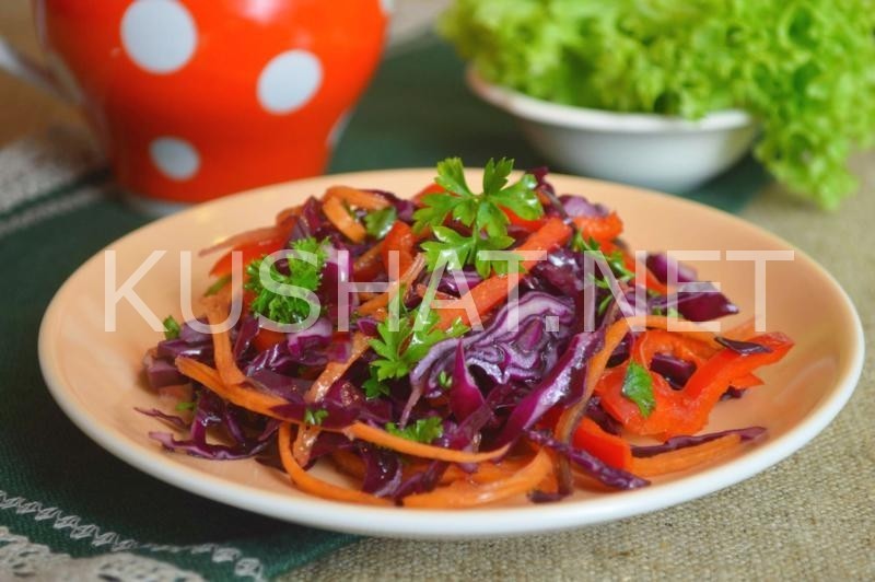 13_салат из краснокочанной капусты с морковью и перцем