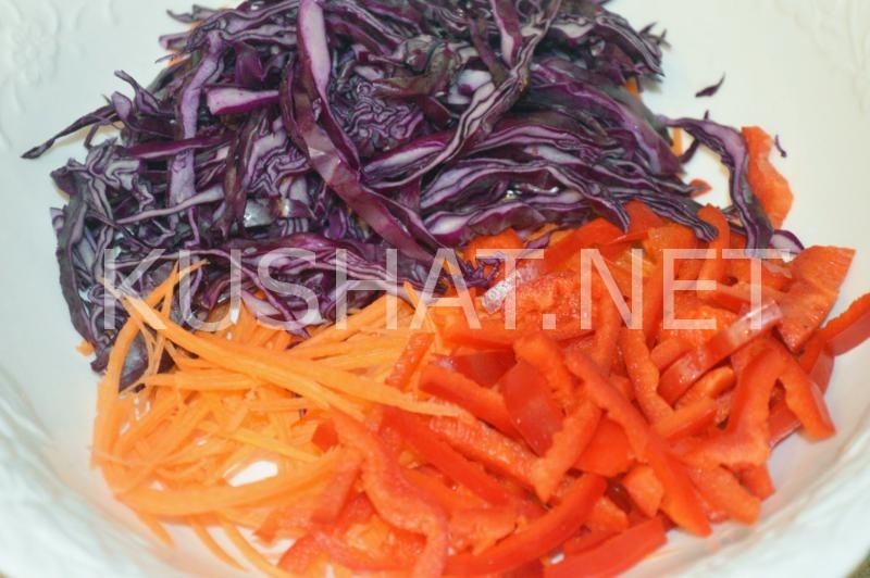 5_салат из краснокочанной капусты с морковью и перцем