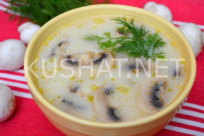 11_грибной суп с плавленым сыром