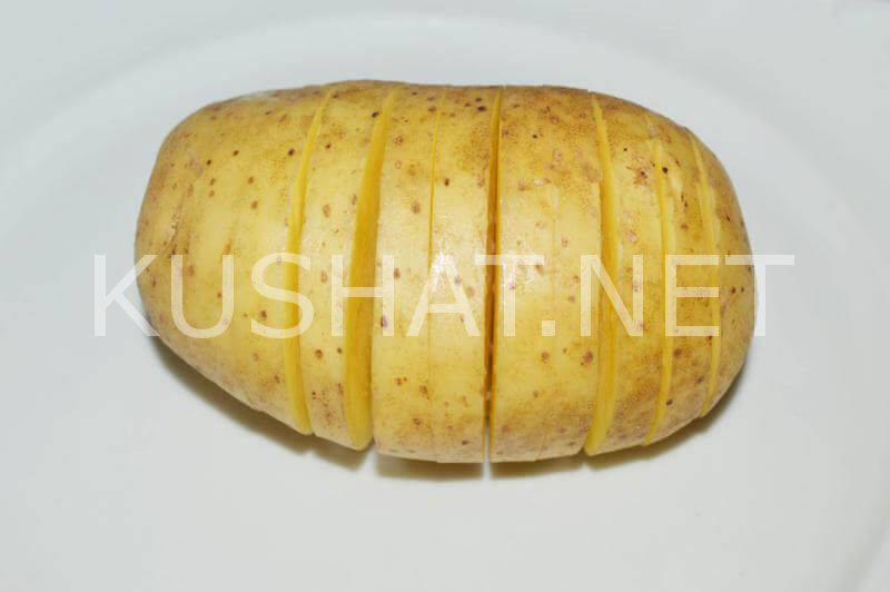 3_картошка-гармошка с салом в духовке